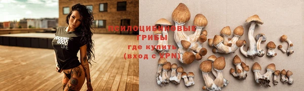 твердый Абинск
