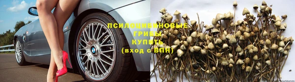герыч Абаза