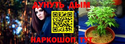 ГАЛЛЮЦИНОГЕННЫЕ ГРИБЫ Пенза