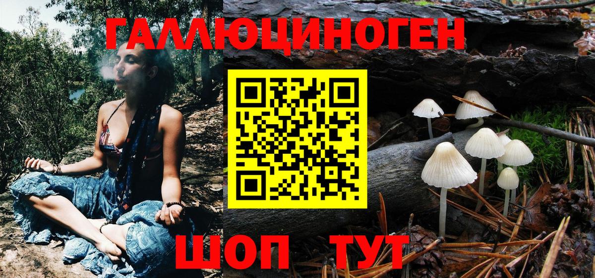 Тавда  Галлюциногенные грибы Cubensis  даркнет сайт  Вход с VPN 