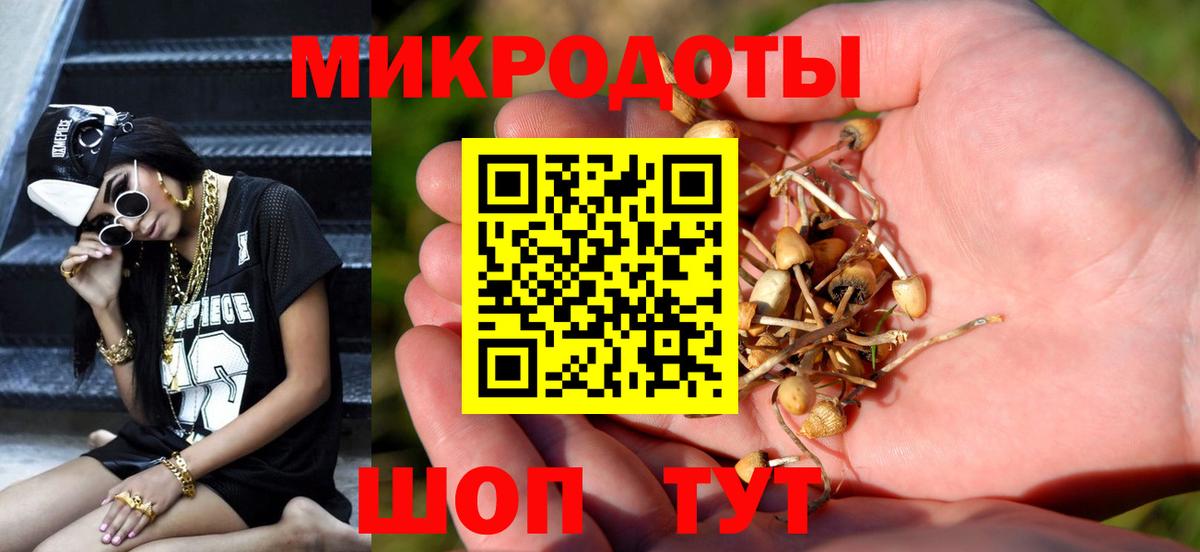Псилоцибиновые грибы Magic Shrooms Тавда
